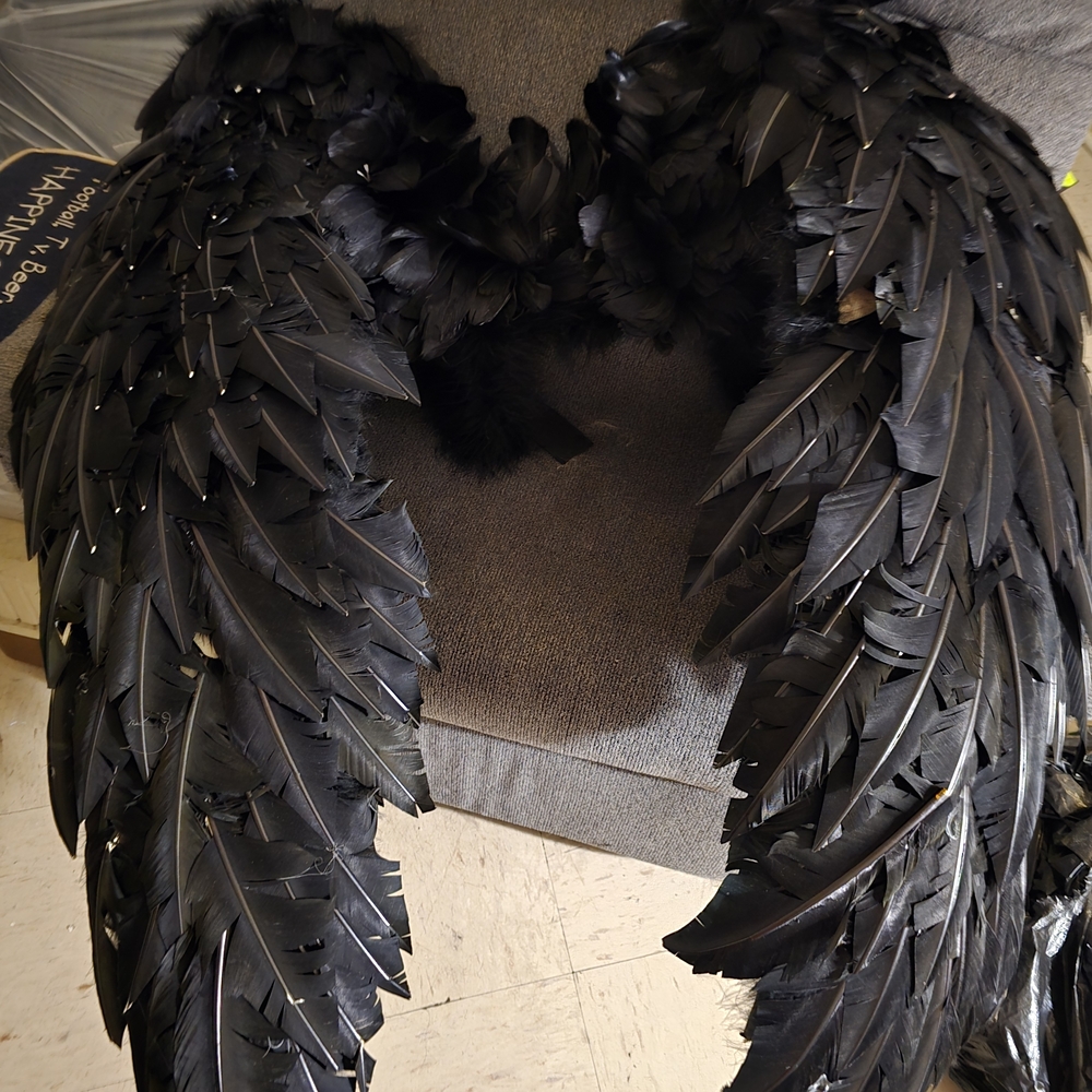 Black Feathered Wings Costume Accessory